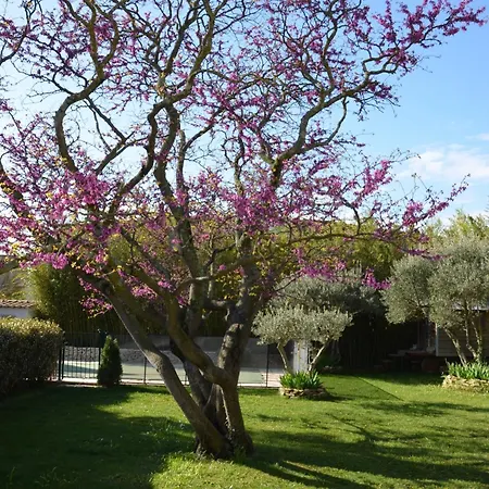 Les Treilles De Provence Villeneuve-lès-Avignon
